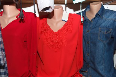 Assorted shirts displayed on mannequins in a clothing store, showcasing casual and winter fashion options clipart