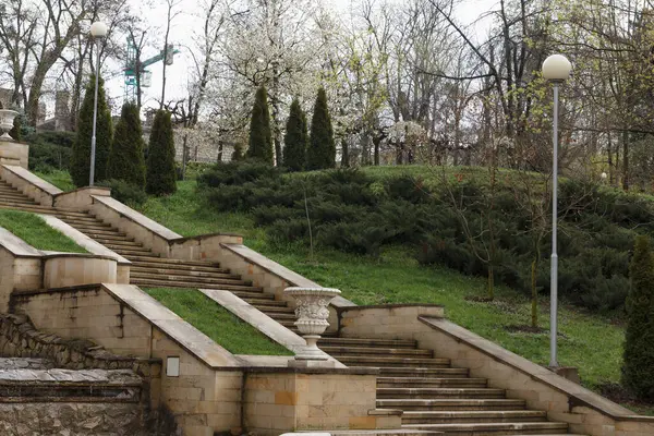 Çiçek açan ağaçlar ve manikürlü çalılarla çevrili verimli yeşil bir park ortamında süslü vazo ve sokak lambaları olan zarif taş merdiven.