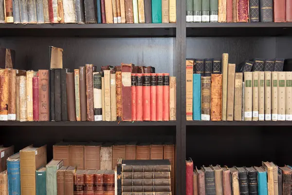 CHISINAU, MOLDOVA - 14 Mart 2025; Eski sıralar, koyu ahşap raflar üzerinde antika kitaplar, gerçekçi stil, kütüphane arka planı, bilgi kavramı, tarih ve edebiyat