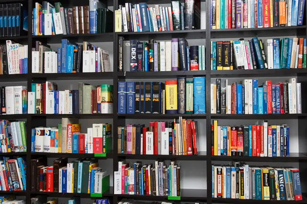 CHISINAU, MOLDOVA - 14 Mart 2025; Salonun arka planında çeşitli renkli kitaplarla dolu geniş bir kitaplık. Eğitim ve bilgi kavramı