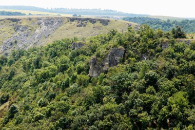 Parlak gün ışığı altında kayalık tepeyi saran yemyeşil orman arka planda uzak uçurumlar ve tarlalar, el değmemiş yaban hayatı kavramı.