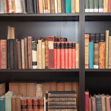 CHISINAU, MOLDOVA - 14 Mart 2025; Eski sıralar, koyu ahşap raflar üzerinde antika kitaplar, gerçekçi stil, kütüphane arka planı, bilgi kavramı, tarih ve edebiyat