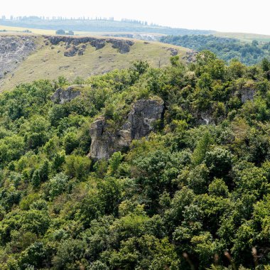 Parlak gün ışığı altında kayalık tepeyi saran yemyeşil orman arka planda uzak uçurumlar ve tarlalar, el değmemiş yaban hayatı kavramı.