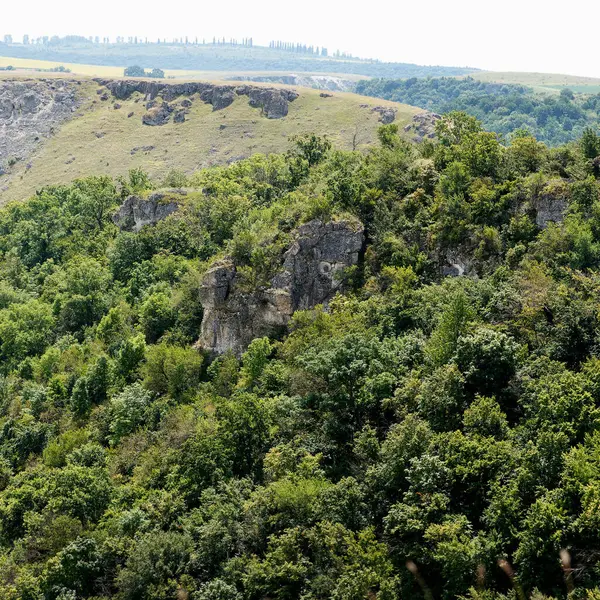 Parlak gün ışığı altında kayalık tepeyi saran yemyeşil orman arka planda uzak uçurumlar ve tarlalar, el değmemiş yaban hayatı kavramı.