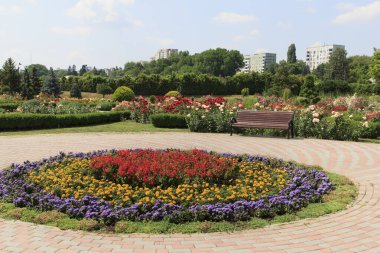 Ziyaretçiler çiçeklerle dolu renkli bir parkta gezinirler. Dairesel bir çiçek tarhında canlı kırmızı, sarı ve mor bitkiler yer alırken, bir bank doğanın ortasında rahatlamaya davetiye çıkarır.
