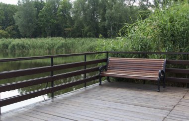 Verandada, yemyeşil bitki örtüsüyle çevrili sakin bir nehre bakan ahşap bir bank. Sahne sakin ve davetkar, rahatlamak için mükemmel.