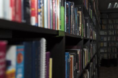 CHISINAU, MOLDOVA - 14 Mart 2025; Koyu ahşap kitaplıklar, gerçekçi stil, kapalı arkaplan, bilgi kavramı, eğitim, edebiyat üzerine sıkıca paketlenmiş kitaplar