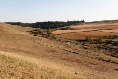 Yuvarlanan tepeleri ve seyrek bitki örtüsüyle uçsuz bucaksız, kuru bir manzara. Arazide açık mavi gökyüzünün altında kahverengi çimenler ve uzak ağaçlar var.