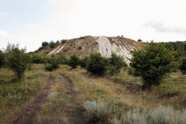 Küçük ağaçların olduğu çimenli bir alana uzanan toprak bir patika. Açık renkli bir yamacı olan bir tepe bulutlu bir gökyüzünün altında yükselir.