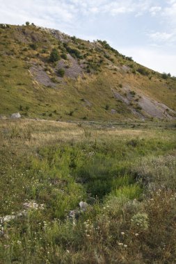 Çimenli bir yamacın manzarası. Açık mavi gökyüzünün altında kayalık çıkıntılar var. Yaban çiçekleri manzarayı dolduruyor, canlı bir doğal ortam yaratıyor.