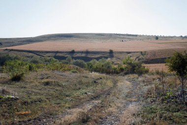 Yuvarlanan tepeleri ve seyrek bitki örtüsüyle uçsuz bucaksız, güzel bir manzara. Arazide açık bir gökyüzünün altında kahverengi çimenler ve uzak ağaçlar var.