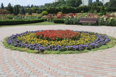 Ziyaretçiler çiçeklerle dolu renkli bir parkta gezinirler. Güzel bir dairesel çiçek tarhı canlı kırmızı, sarı ve mor bitkilere ev sahipliği yapar. Bir bank ise doğanın ortasında rahatlamaya davetiye çıkarır.
