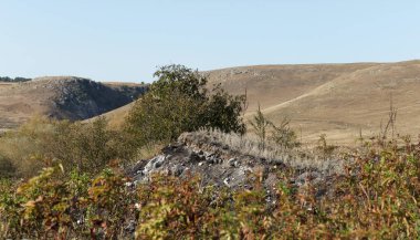 Yuvarlanan tepeler ve seyrek bitki örtüsüyle kuru bir manzara. Kararmış bir toprak parçasının yanında duran küçük bir ağaç yakın zamanda çıkan bir yangını gösteriyor. Gökyüzü açık ve mavi