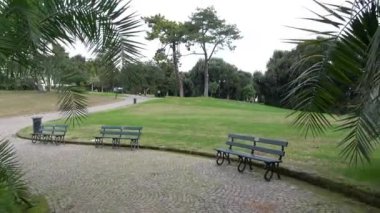 Napoli, İtalya 'daki Capodimonte halk parkında bir bulvar.
