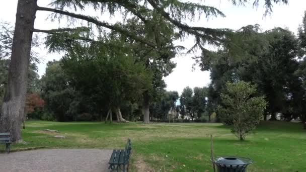 Napoli Talya Daki Capodimonte Halk Parkında Bir Bulvar — Stok video