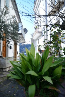 A narrow street among the old houses of Rapolla, a village in the province of Potenza in Italy.