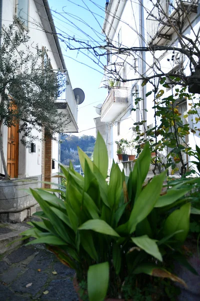 A narrow street among the old houses of Rapolla, a village in the province of Potenza in Italy.