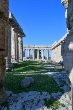 Architecture of an ancient Greek temple in the archaeological park of Paestum in Campania, Italy.