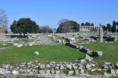 Architecture of an ancient Greek temple in the archaeological park of Paestum in Campania, Italy.