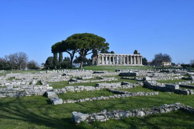 Architecture of an ancient Greek temple in the archaeological park of Paestum in Campania, Italy.