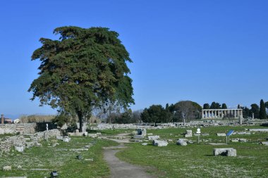Architecture of an ancient Greek temple in the archaeological park of Paestum in Campania, Italy.
