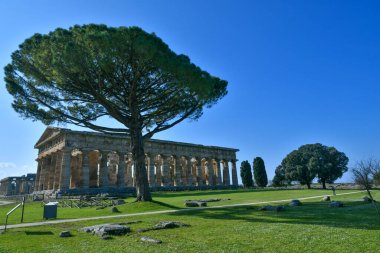 Architecture of an ancient Greek temple in the archaeological park of Paestum in Campania, Italy.