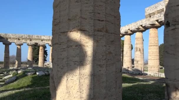 Architecture Temple Grec Antique Dans Parc Archéologique Province Salerne État — Video