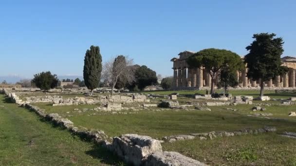 Architecture Ancient Greek Temple Archaeological Park Salerno Province Campania State — Vídeo de stock