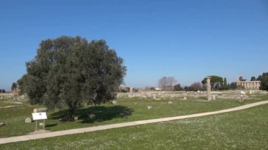 İtalya 'nın Campania eyaletinin Salerno eyaletindeki antik bir Greko-Roma şehri olan Paestum kalıntıları ile manzara.