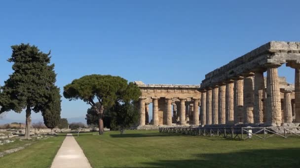 イタリアのサレルノ県のギリシャ ローマの都市の古代寺院であるペストムの建築 — ストック動画