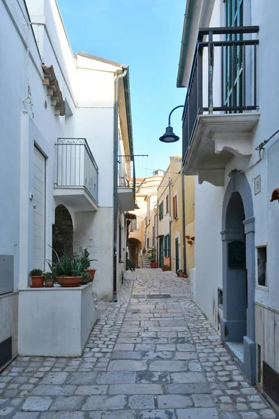 テルモリの狭い通り イタリアのカンポバッソ州の海辺の町 — ストック写真