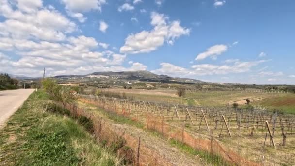 对农村和贝内文托省农作物的看法 在背景中 你可以看到这个地区的中世纪村落之一 意大利 — 图库视频影像
