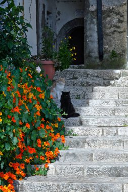 İtalya 'nın Benevento ilinin küçük bir kasabası olan Guardia Sanframondi' nin eski evleri arasında dar bir sokak..
