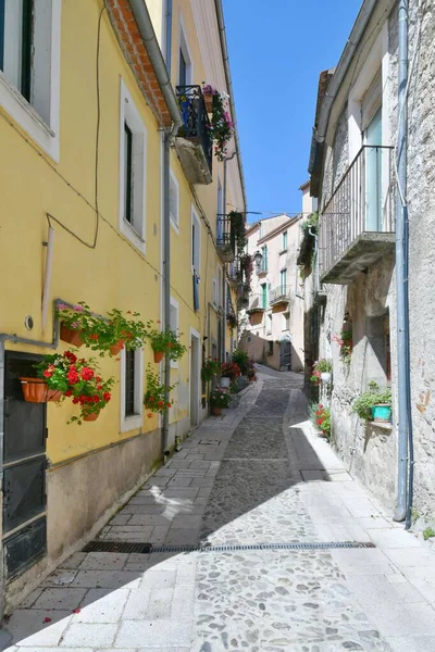 Karakteristisk Gata Buccino Medeltida Provinsen Salerno Italien — Stockfoto