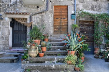 İtalya, Lazio 'da bir köy olan Vitorchiano' nun ortaçağ mahallesindeki eski bir evin cephesi..