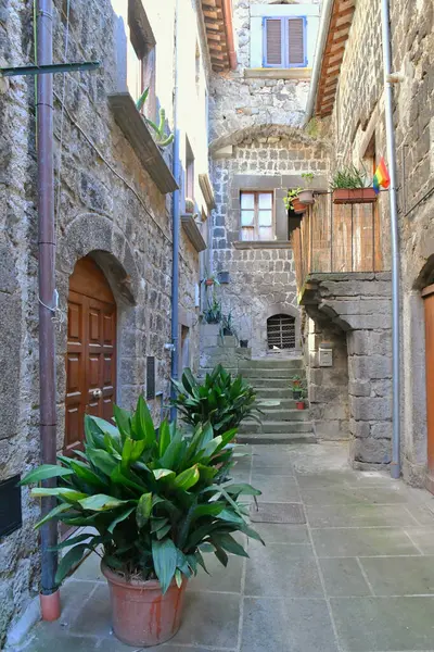 Una Calle Barrio Medieval Vitorchiano Una Ciudad Lazio Provincia Viterbo — Foto de Stock
