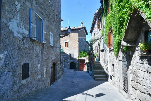Una Calle Barrio Medieval Vitorchiano Una Ciudad Lazio Provincia Viterbo —  Fotos de Stock
