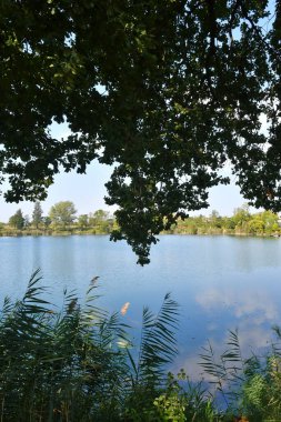 Telese Gölü, İtalya 'nın Benevento eyaletinde bir kaplıca kasabası..