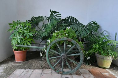 Napoli, İtalya 'daki Capodimonte parkında bir fabrika sahibine dönüşmüş eski bir vagon..