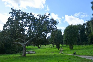 Napoli, İtalya 'da bir kraliyet sarayının şehir parkında bir bulvar..