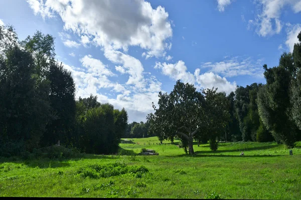 Napoli, İtalya 'da bir kraliyet sarayının şehir parkında bir bulvar..