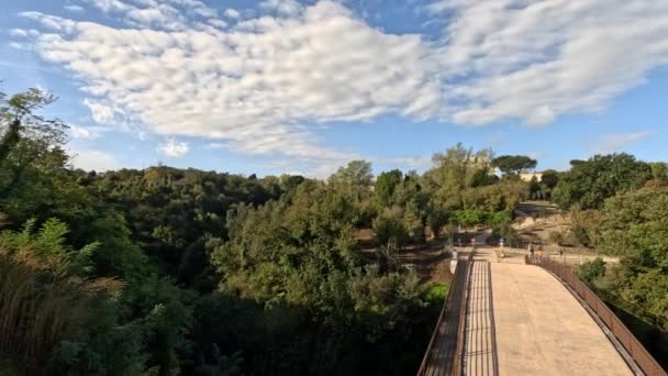 Ponte Attraverso Parco Reale Della Città Napoli — Video Stock
