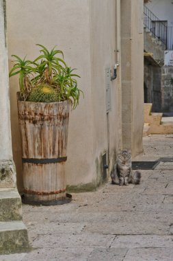 Puglia 'da Gravina' da bir sokak, İtalya 'da eski bir kasaba..