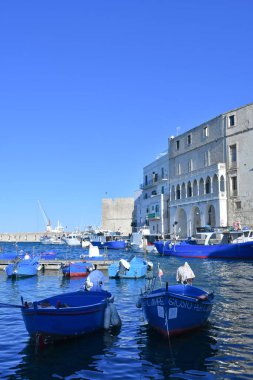 İtalya 'nın Bari eyaletinde yer alan Monopoli antik limanında tekneler.