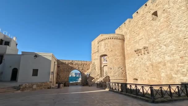 一座中世纪城堡 位于意大利普利亚地区的一座城镇 蒙波里历史城区 — 图库视频影像
