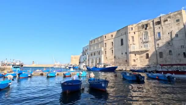 Човни Стародавньому Порту Монополі Місті Провінції Барі Італія — стокове відео