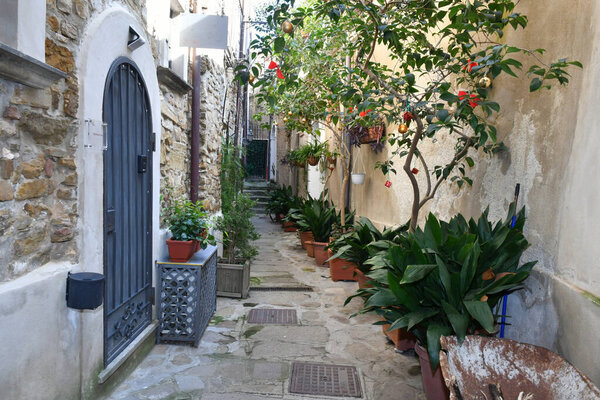 A narrow street in Castellabate, a medieval village on the coast of Campania, Italy.