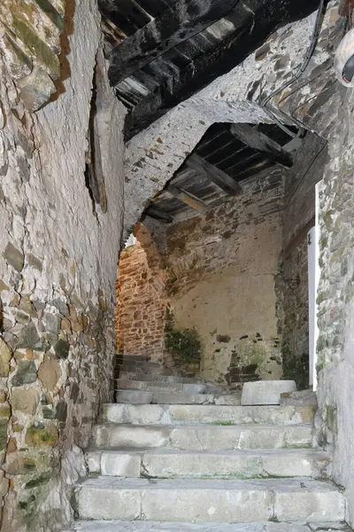 Castellabate 'de dar bir sokak, İtalya' nın Campania sahilinde bir ortaçağ köyü..