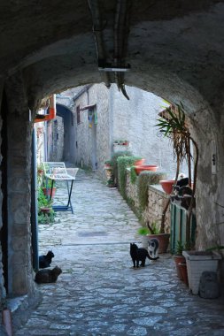 Riardo 'da dar bir sokak, İtalya, Campania' da bir ortaçağ köyü..