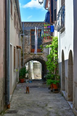 Taurasi 'de bir sokak, Campania' da bir kasaba, İtalya.